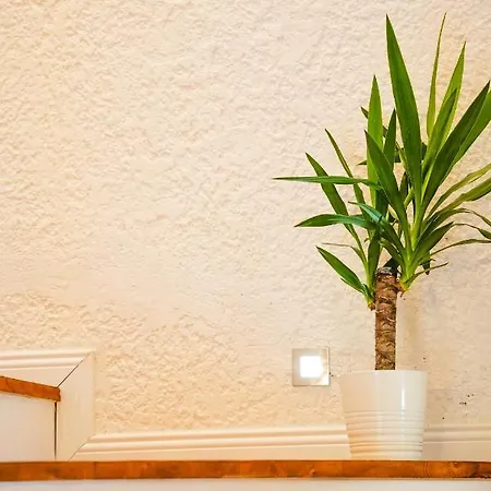 Armi Alacati Çeşme